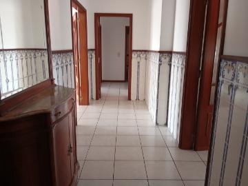 Apartamento T4 no centro de Oliveira do Bairro para arrendamento