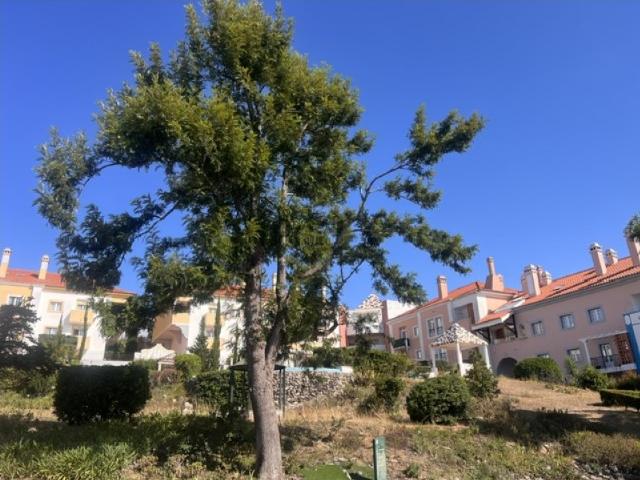 Apartamento T4 Quinta da Beloura Condomínio fechado