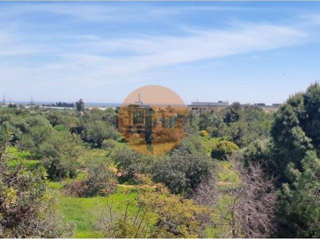 Apartamento, Tavira