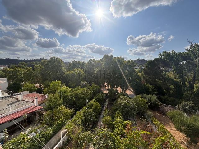 Apartamento, Tomar e Santa Maria dos Olivais