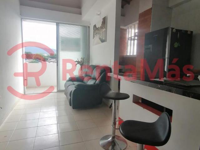 APARTAMENTO TORRE DE LA FLORESTA APTO 404, Sin Barrio, Los Patios