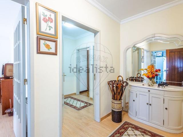 Apartamento, Campelo e Ovil