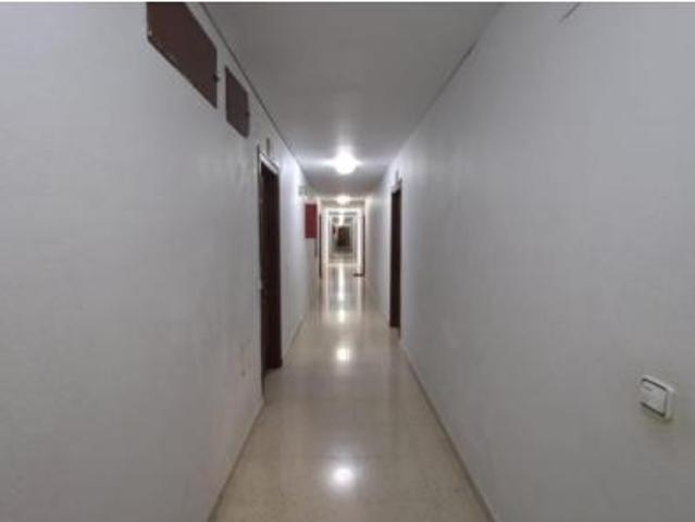 Apartamento Venta Torrevieja, Torrevieja