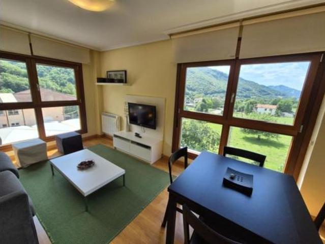 Apartamento Venta Aller, Felechosa