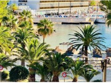 Apartamento Venta Calvià, Cala Vinyes