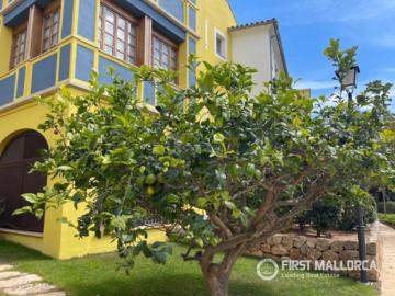 Apartamento Venta Calvià, Cas Català Illetes