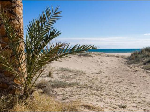 Apartamento Venta Gandia, Playa de Gandia