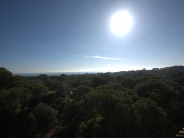 Apartamento Venta Guardamar del Segura, Centro