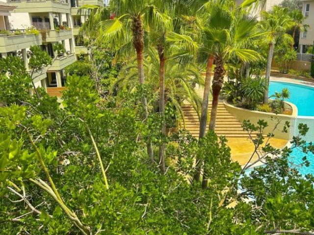Apartamento Venta Islas Baleares