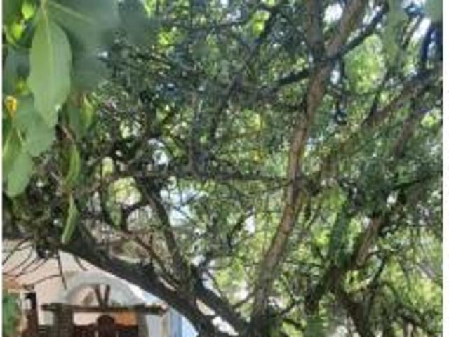 Apartamento Venta Istán, Istán