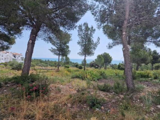 Apartamento Venta Peníscola Peñíscola, Finca del Moro Cap Blanc Font Nova
