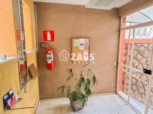 Apartamento Venda Cidade Nova