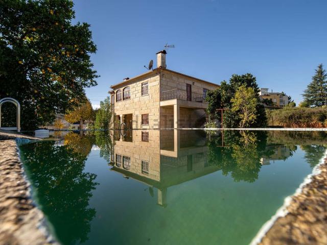 Apartamento, Veade Gagos Molares