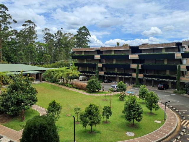 APARTAMENTO VIA VEREDA VILACHUAGA KM 4.5, LLANOGRANDE RIONEGRO ANTIOQUIA, LLANOGRANDE, Rionegro