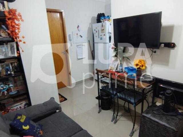 Apartamento, Vila Mazzei São Paulo