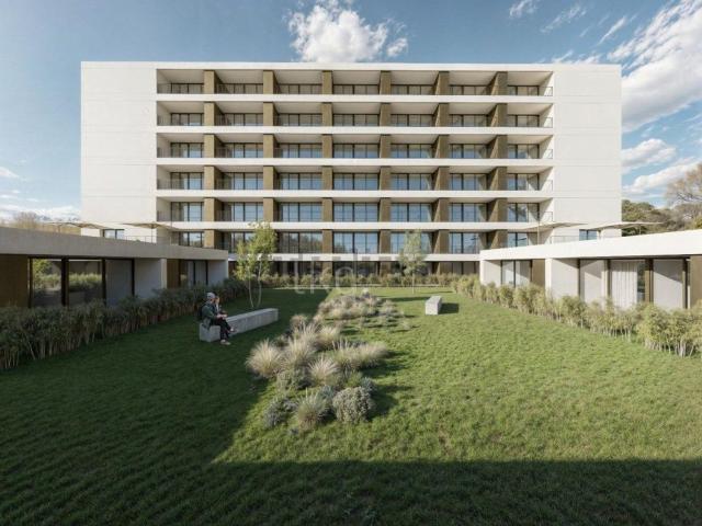Apartamento, Vila Nova de Famalicão e Calendário