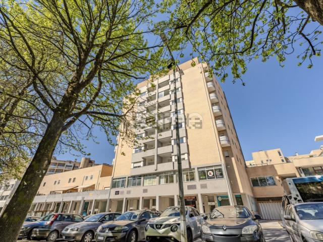 Apartamento, Vila Nova de Famalicão e Calendário