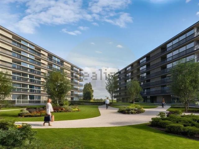 Apartamento, Vila Nova de Famalicão e Calendário