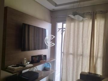 Apartamento, Vila Faustina II, Valinhos, SP
