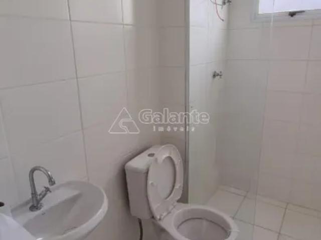 Apartamento Vila Palácios Campinas