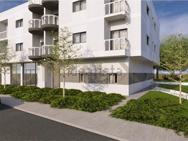 Apartamento, Vila Verde e Barbudo