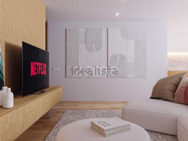 Apartamento, Vila Verde e Barbudo