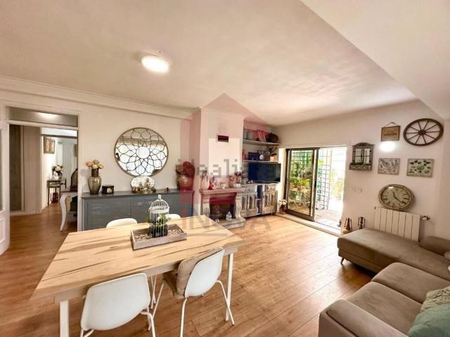 Apartamento, Vila Verde e Barbudo