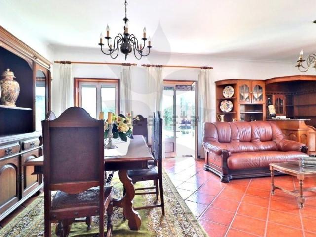 Apartamento, Vila Verde e Barbudo