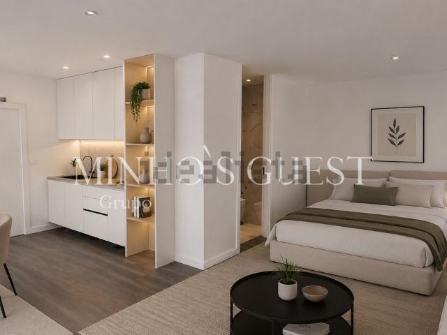 Apartamento, Vila Verde e Barbudo