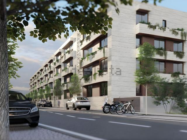 Apartamento, Vila Verde e Barbudo