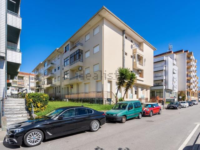 Apartamento, Vila Verde e Barbudo