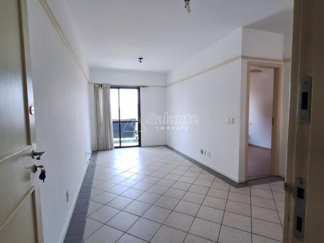 Apartamento à venda no Cambuí em Campinas
