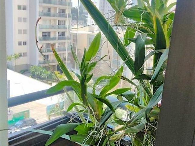 Apartamento á venda no centro de Guarulhos, Documentação ok, Estuda permuta por casa em Alphville/Ta