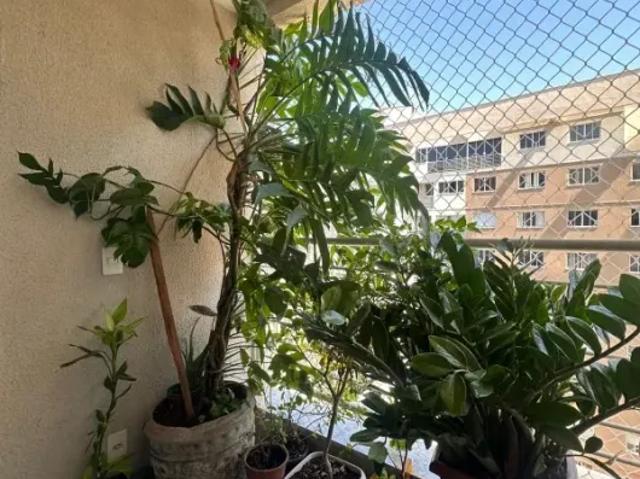 Apartamento à venda no Condomínio Acqua Blu Residence Club Teresina/PI