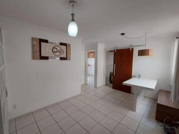 Apartamento a venda no Vila Industrial em Campinas/SP