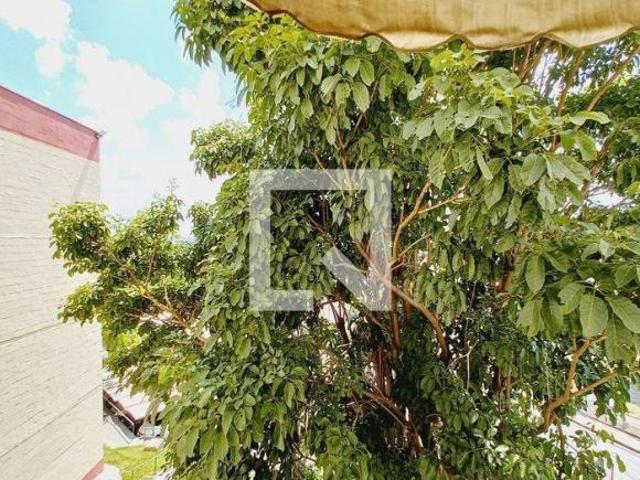 Apartamento à Venda Campos Elíseos, 2 Quartos, 46 m² Campinas
