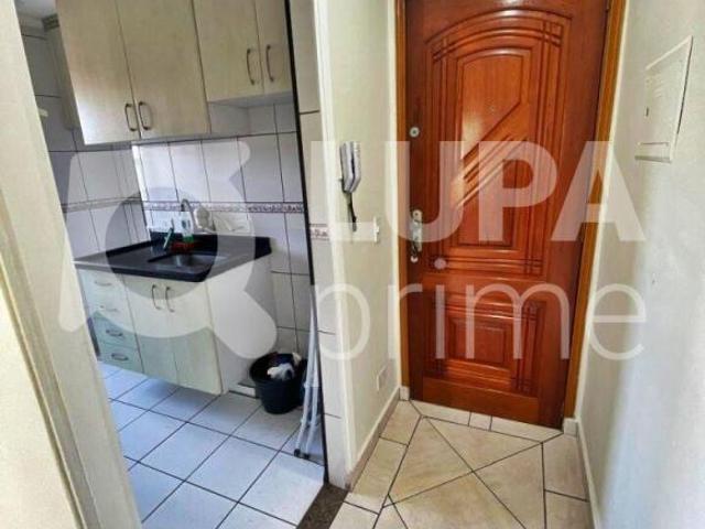 APARTAMENTO Á VENDA COM 42M² 1 DORMITÓRIO NA VILA GUILHERME