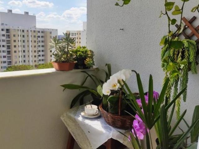 Apartamento à venda em Floramar