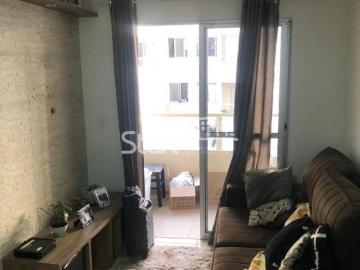 apartamento Jardim Nova Europa Campinas