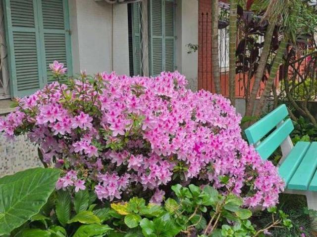 Apartamento à venda em Santana