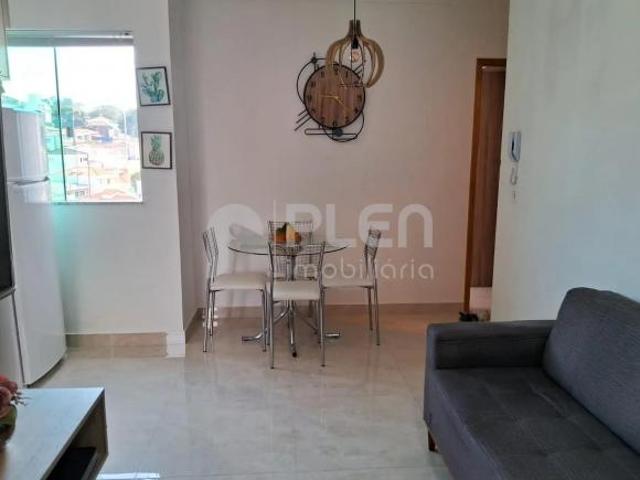 Apartamento à venda, Jardim Franca, São Paulo, SP
