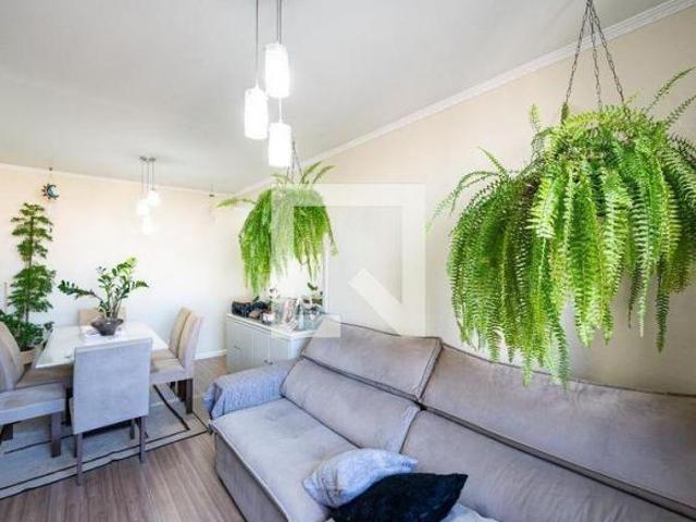 Apartamento à Venda Vila Mascote, 2 Quartos, 65 m² São Paulo