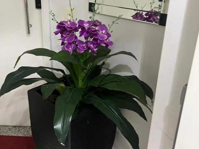 Apartamento à venda, Vila Sônia do Taboão, Taboão da Serra, SP