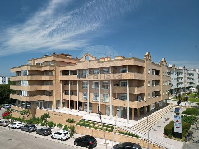 Apartamento, Albergaria a Velha e Valmaior