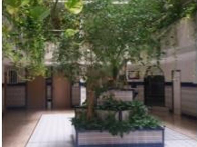 Apartamento Alquiler Torrevieja, Playa del Cura