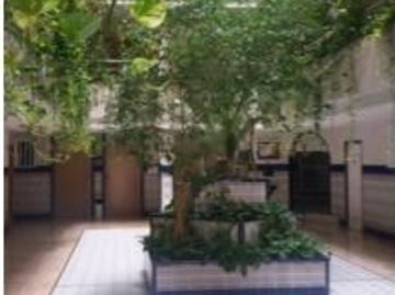 Apartamento Alquiler Torrevieja, Playa del Cura