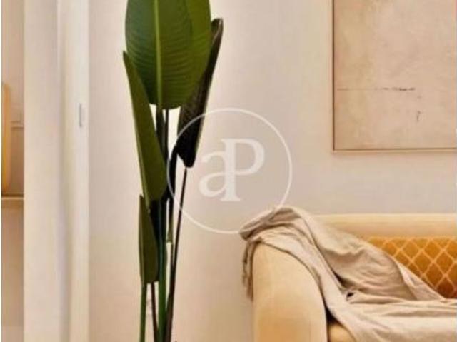Apartamento Alquiler València Capital, Marxalenes
