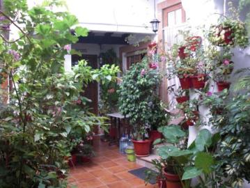 C Juderia, Buena Vista, Vejer de la Frontera, Cádiz, Andalucía, Andalucía