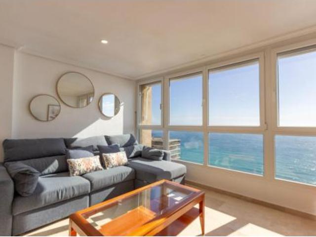 Apartamento Alquiler Alicante Alacant, L'Albufereta