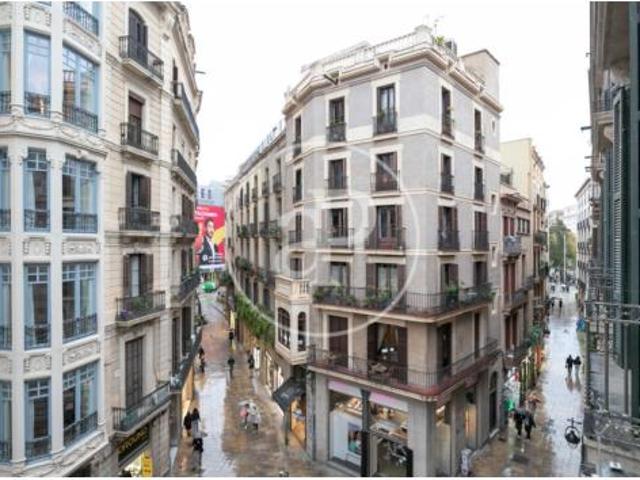 Apartamento Alquiler Barcelona Capital, El Barri Gòtic